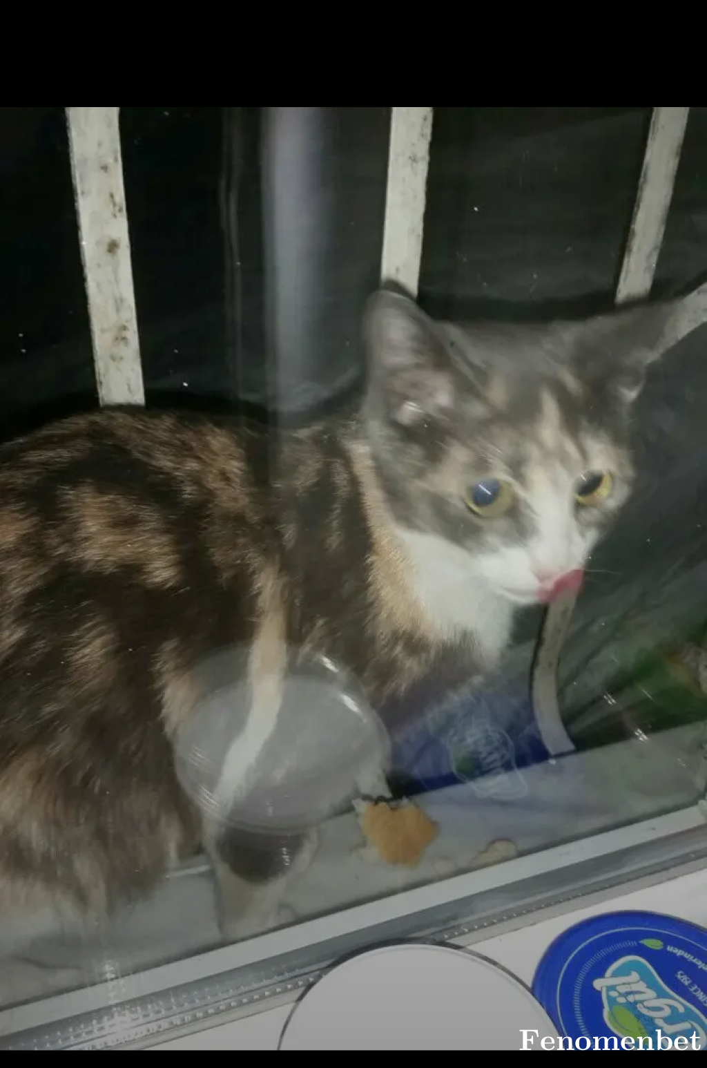 Endercan2 tarafından paylaşıldı