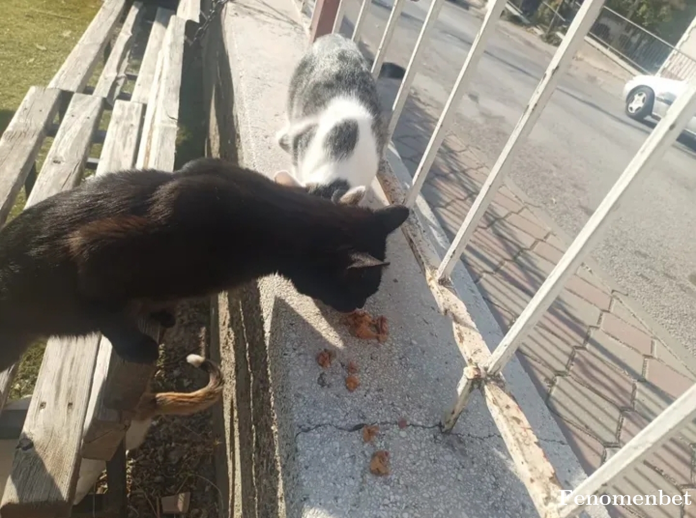 Engincskn tarafından paylaşıldı