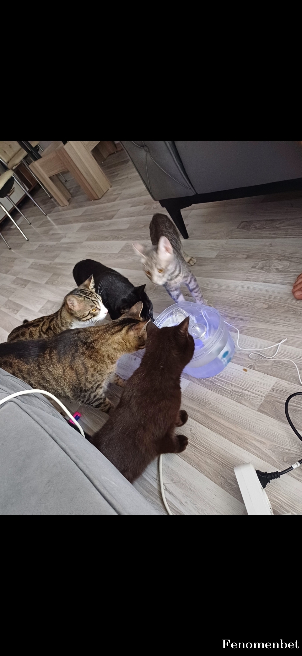 aysa44 tarafından paylaşıldı