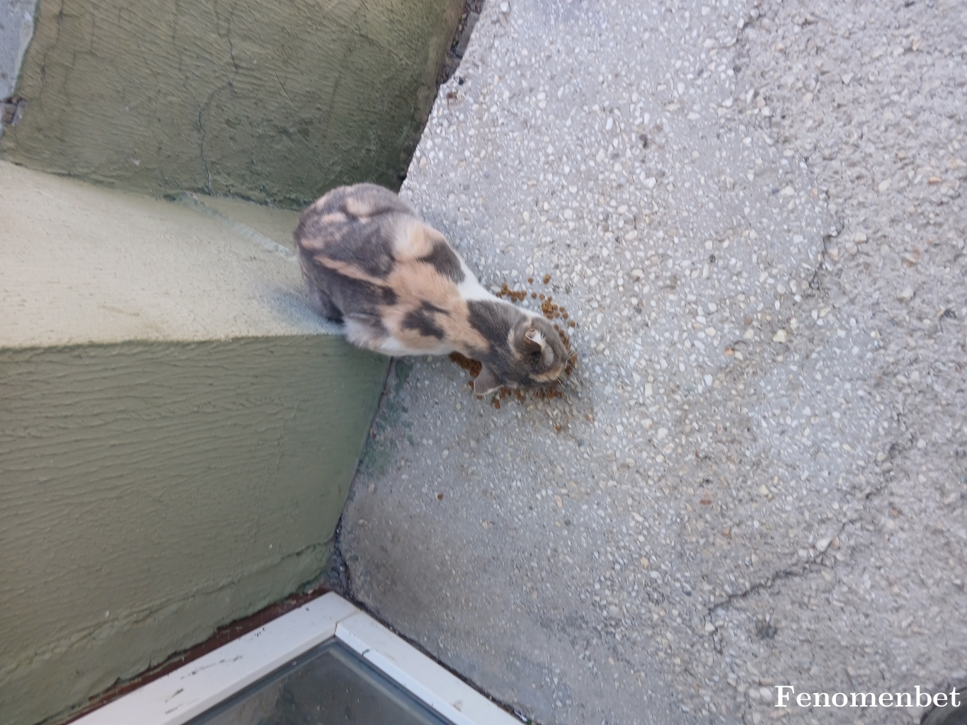 sksk255 tarafından paylaşıldı