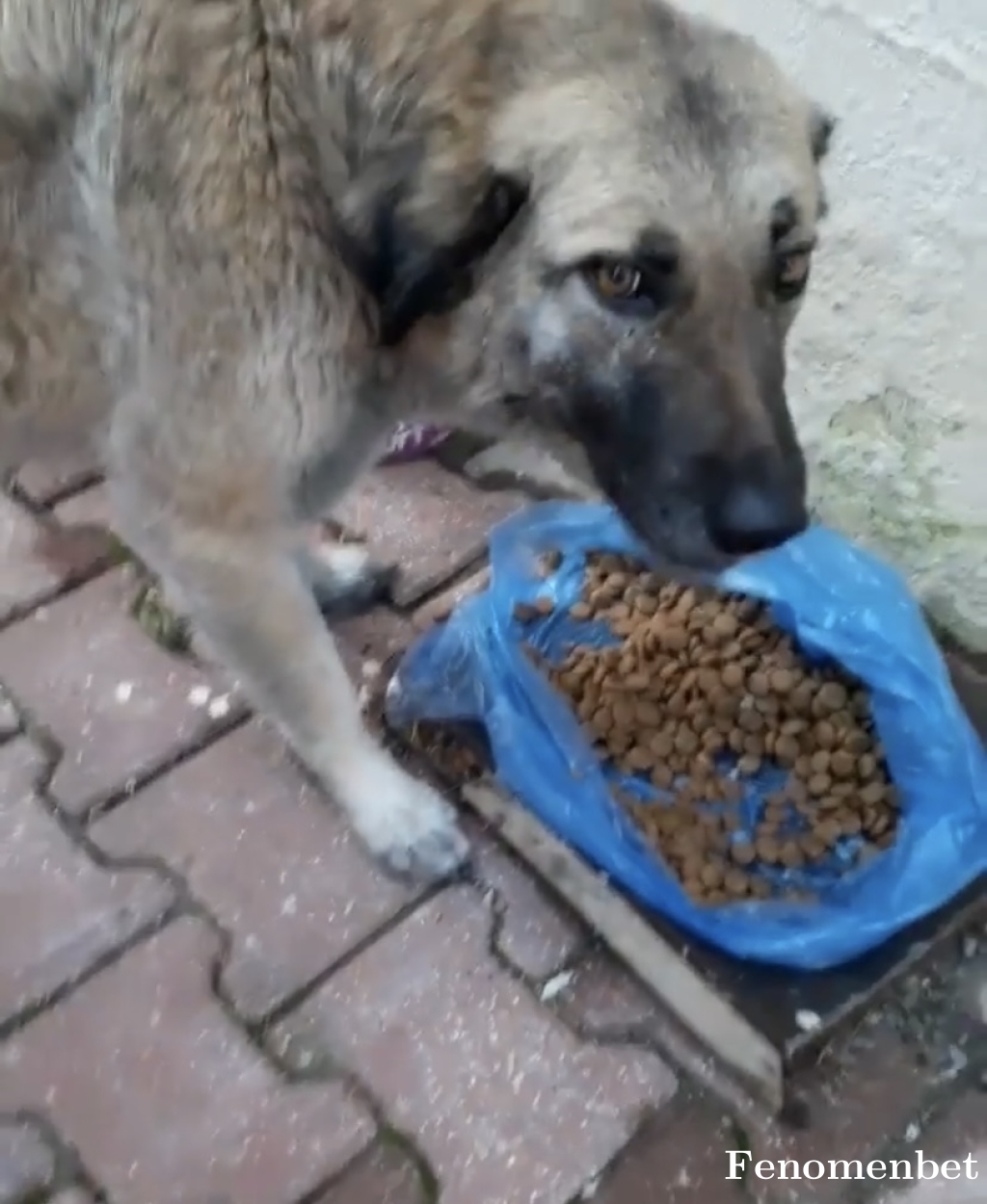 Yalova7736 tarafından paylaşıldı