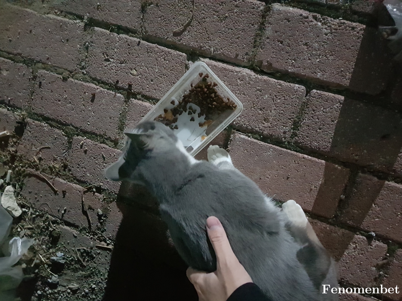 moody tarafından paylaşıldı