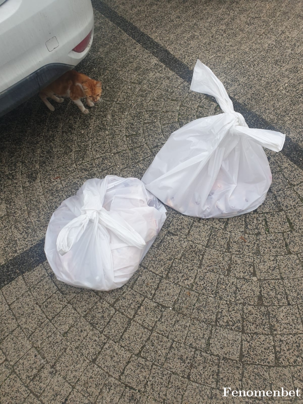 Kadircanki06  tarafından paylaşıldı