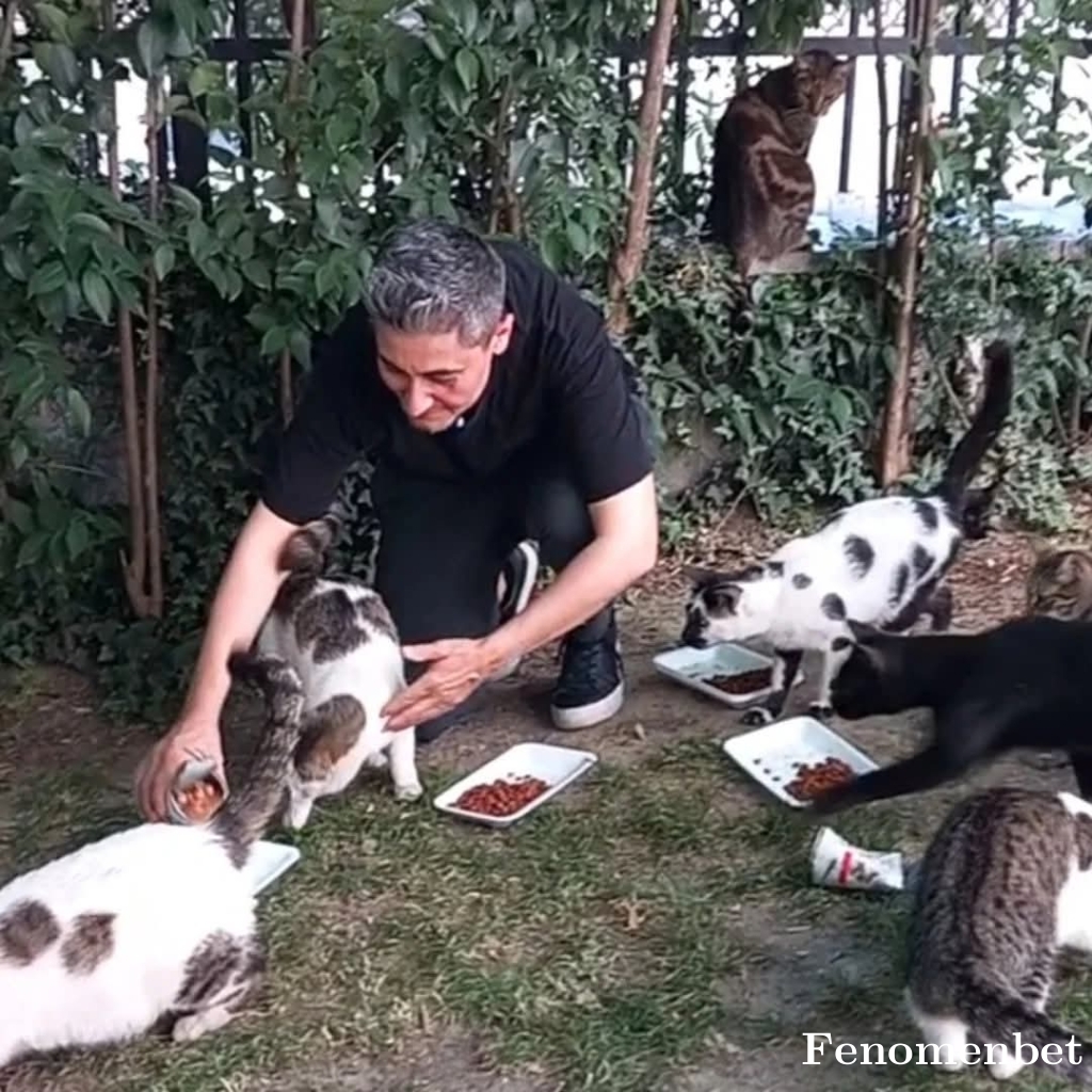 aksoy123 tarafından paylaşıldı
