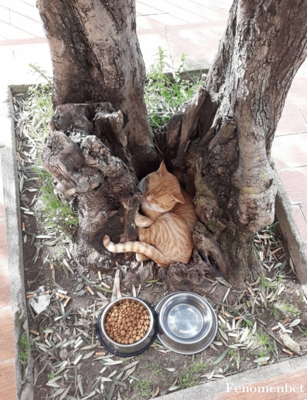 nesli2559 tarafından paylaşıldı