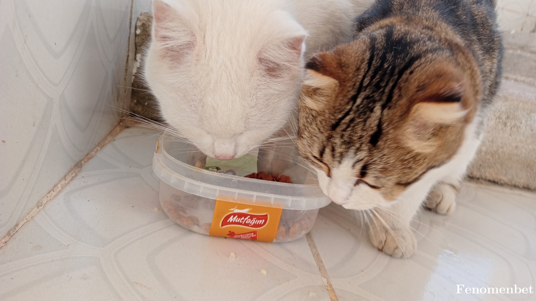 Ahmetkzldg tarafından paylaşıldı