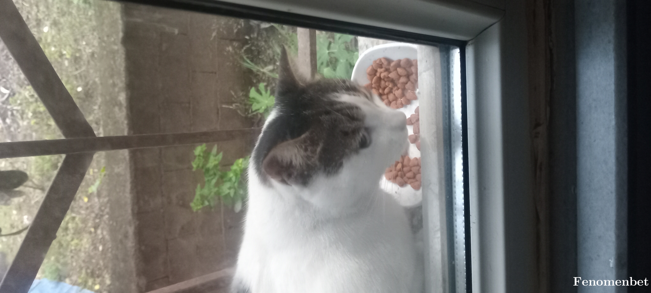 Laleeda tarafından paylaşıldı