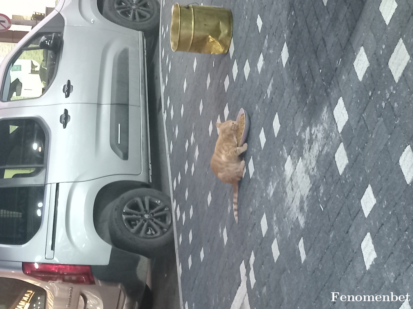 Gudy61 tarafından paylaşıldı