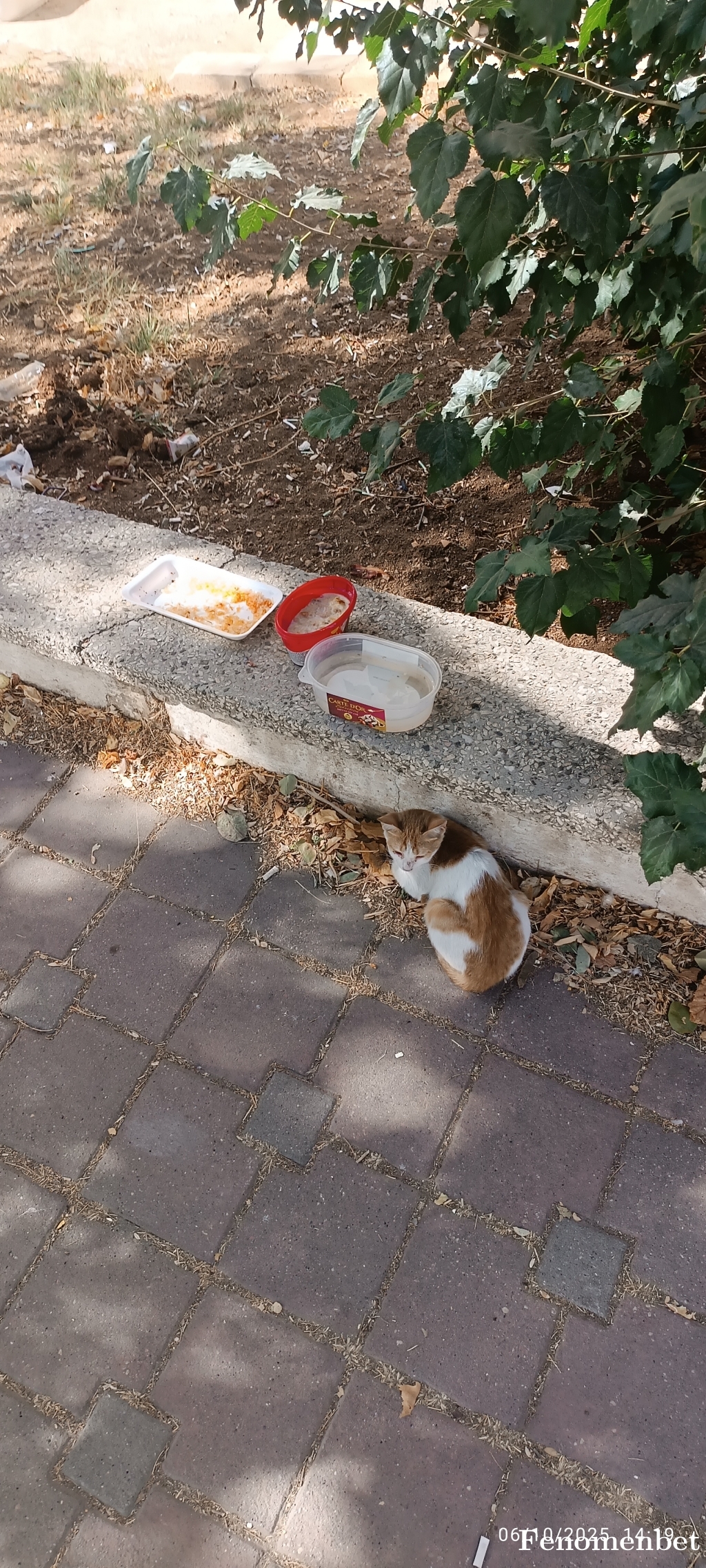 Faruk326 tarafından paylaşıldı