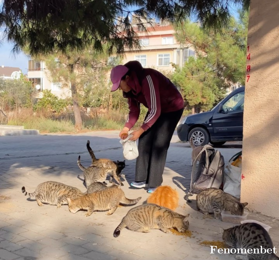 nemtra00 tarafından paylaşıldı