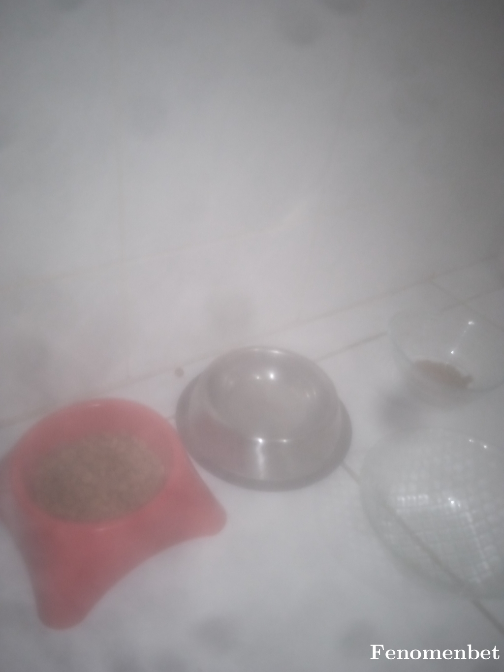 Bereket1022T tarafından paylaşıldı