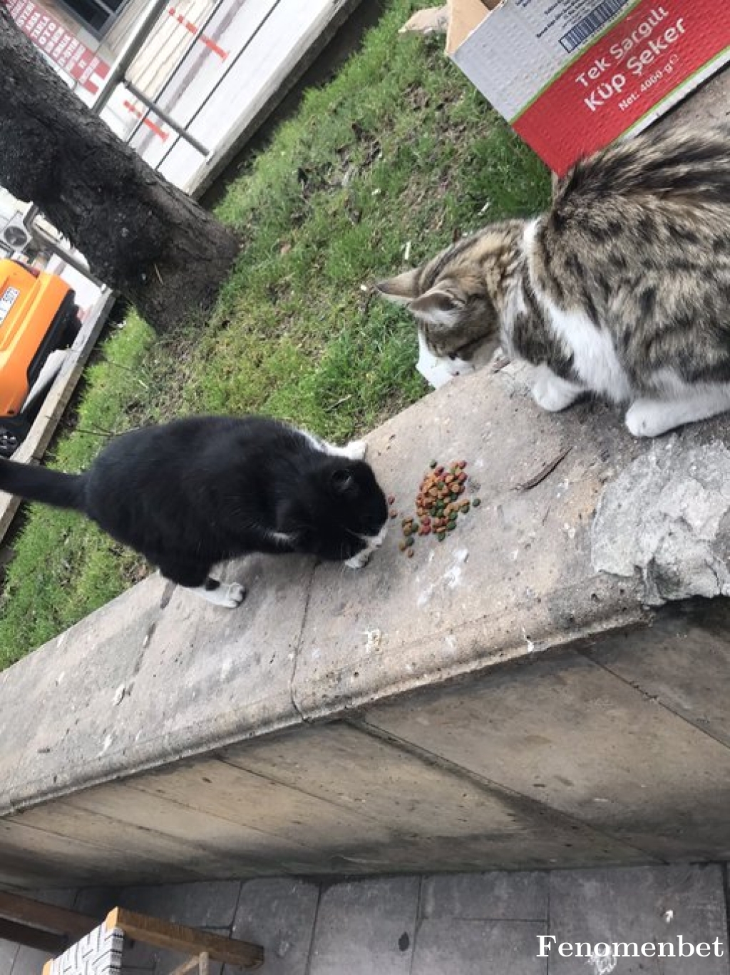 saian30 tarafından paylaşıldı