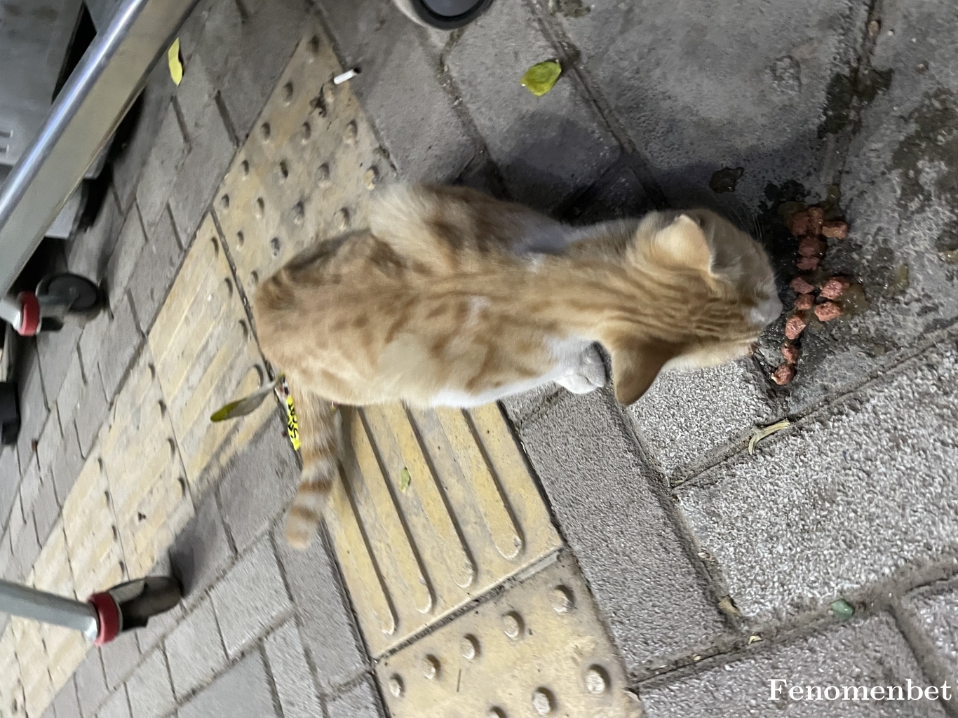Kardesensimsek tarafından paylaşıldı