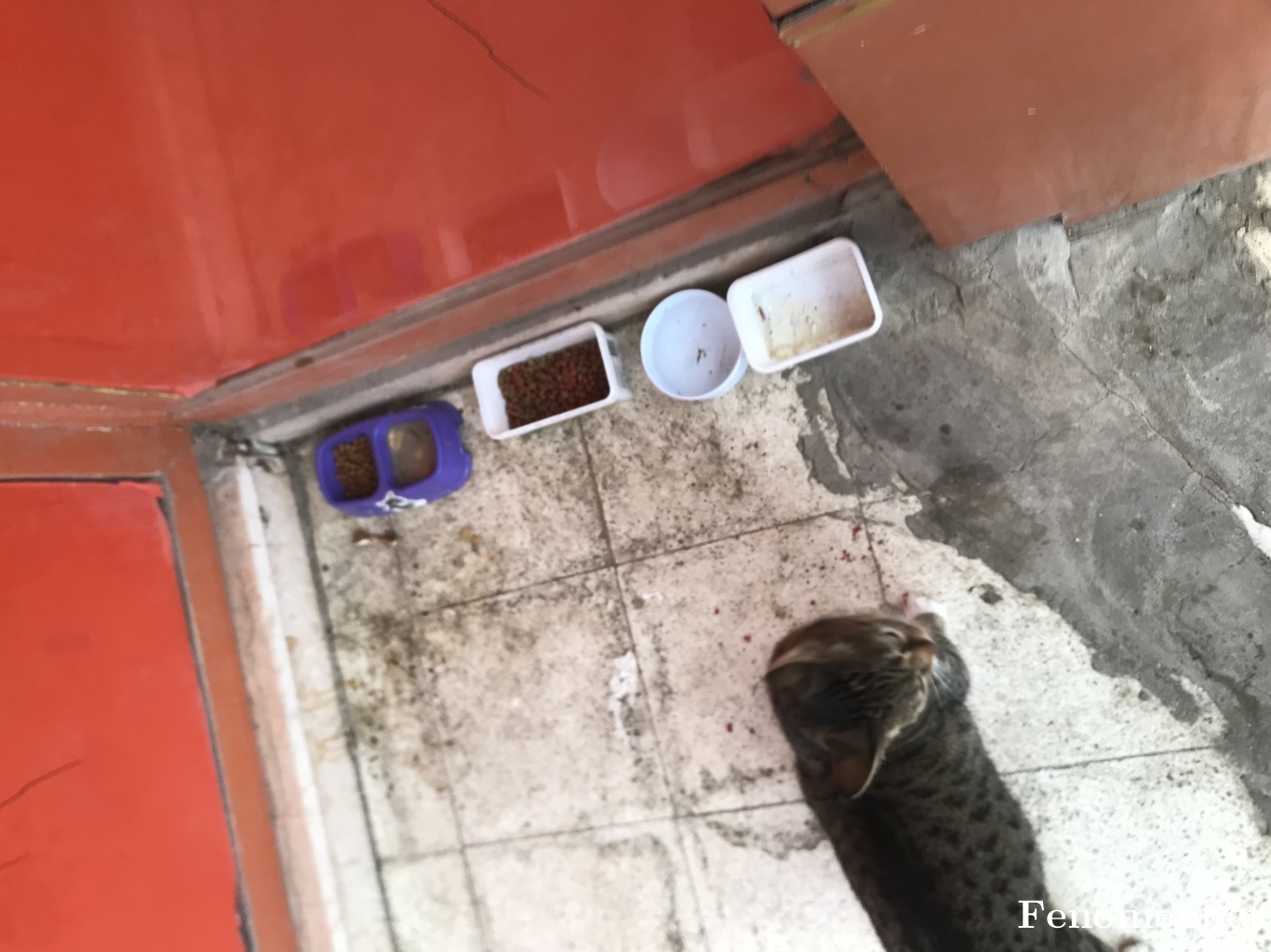 boboligo tarafından paylaşıldı