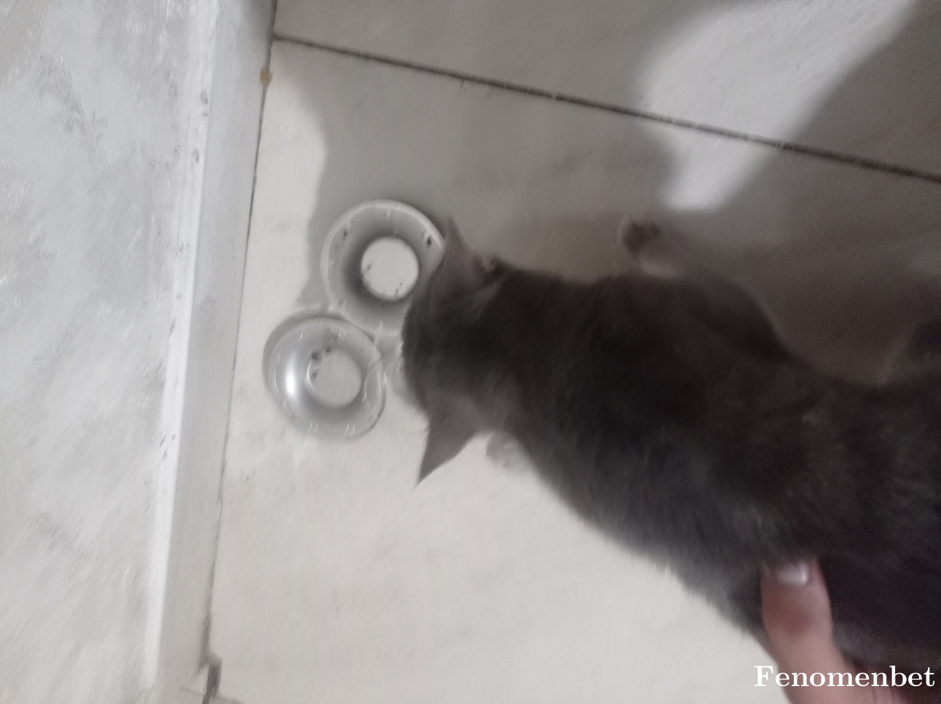 Etmbkm tarafından paylaşıldı