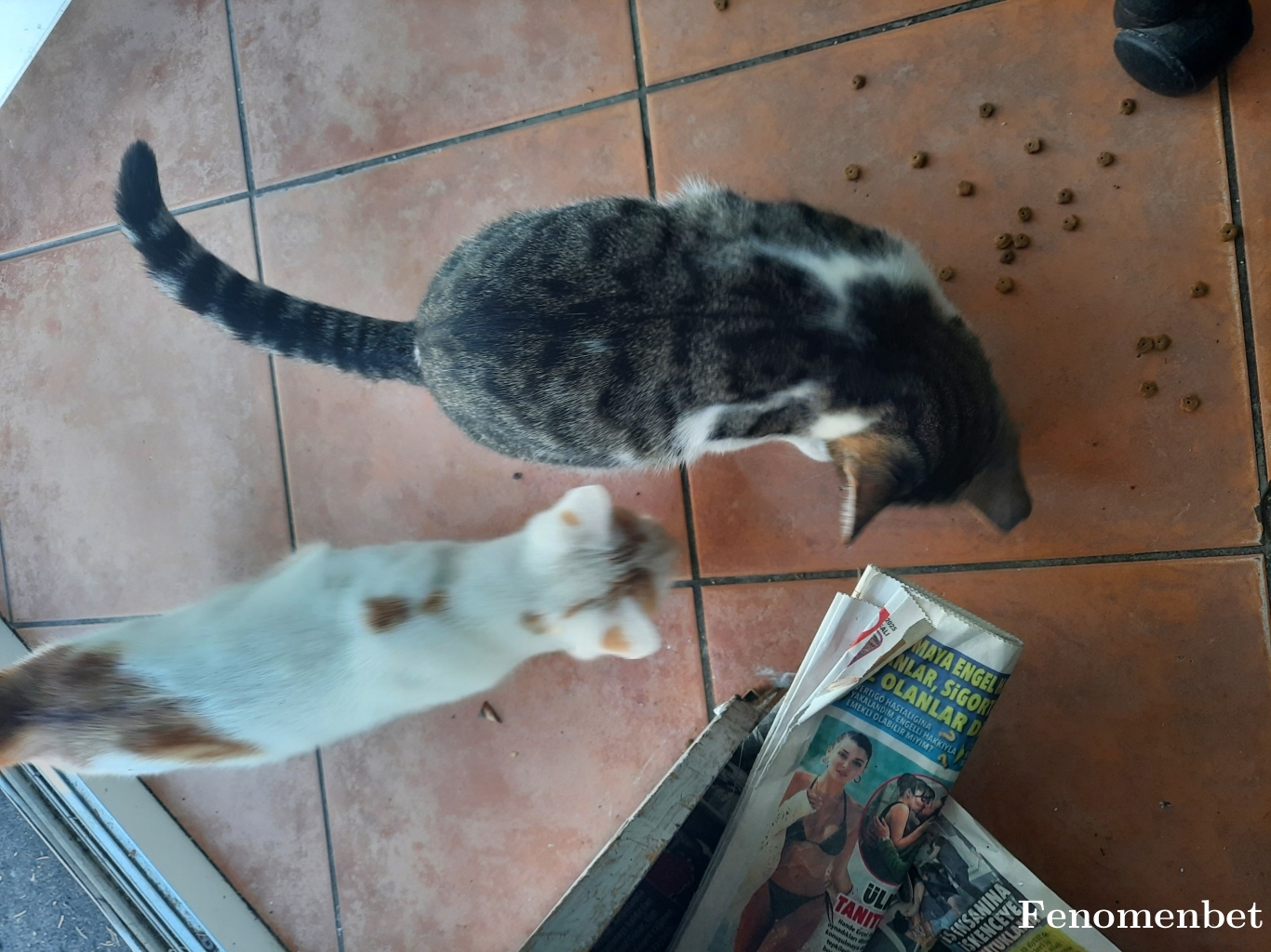 Asist1 tarafından paylaşıldı