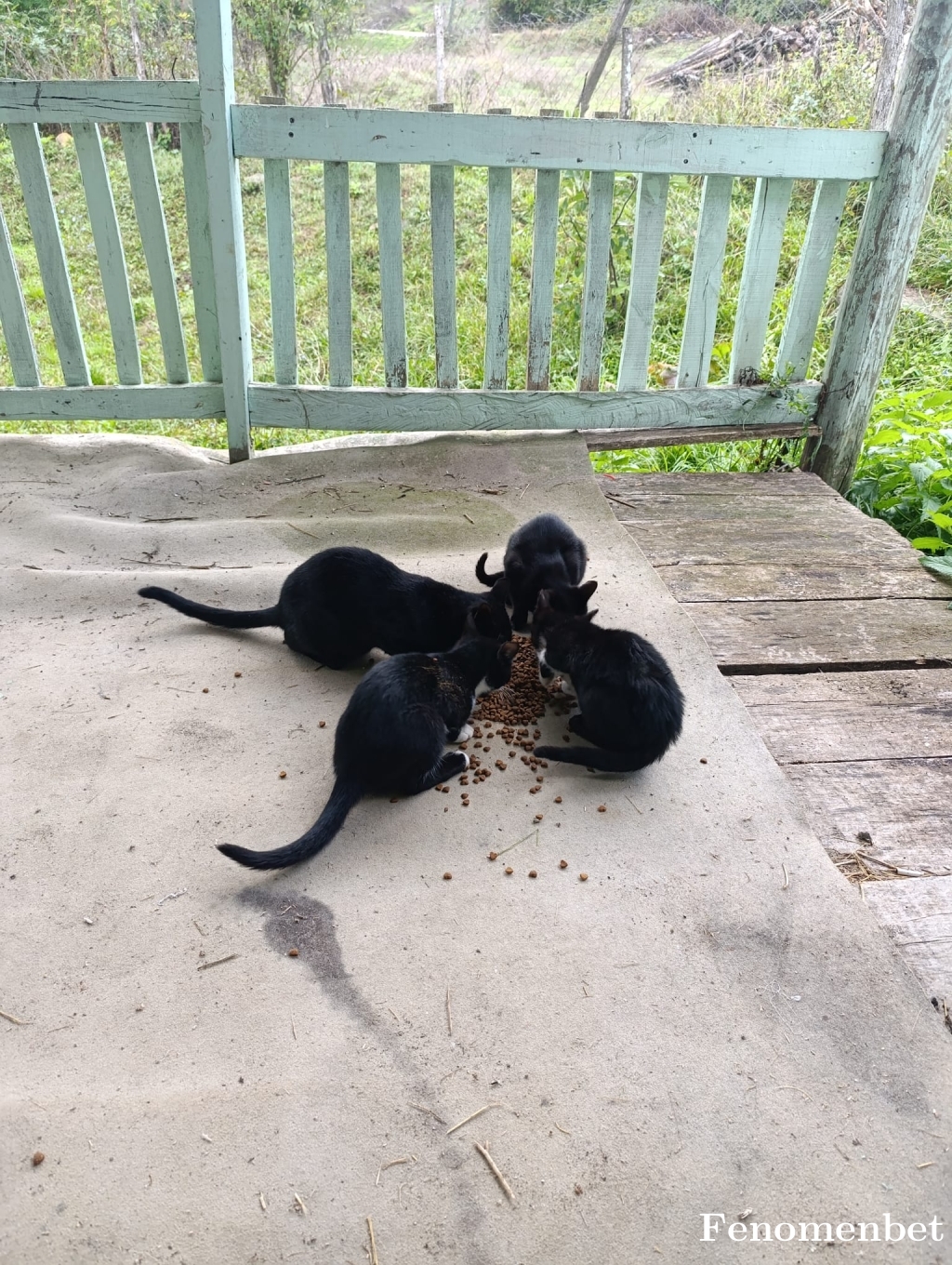 hacercal tarafından paylaşıldı