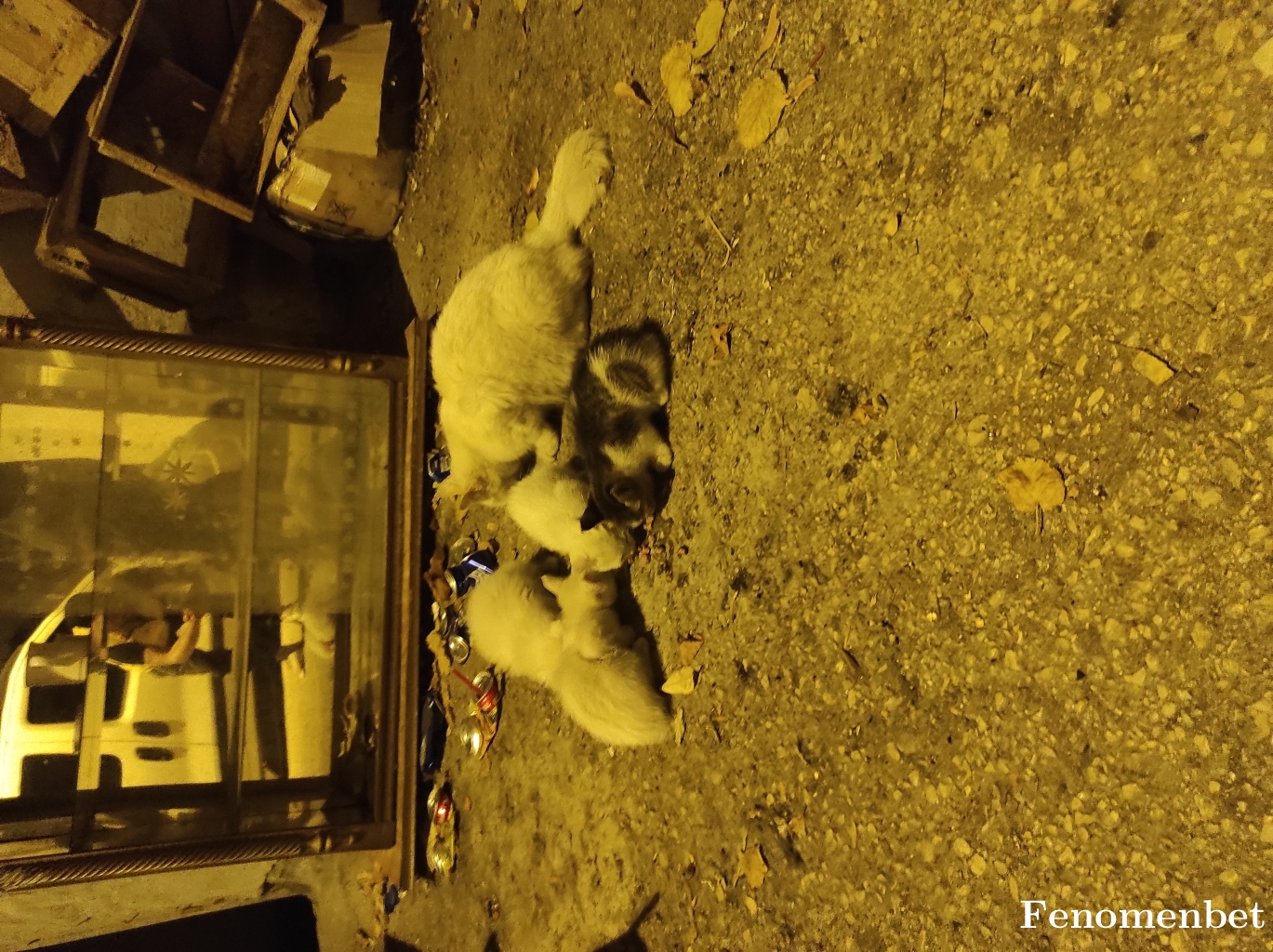 Erydnmz tarafından paylaşıldı