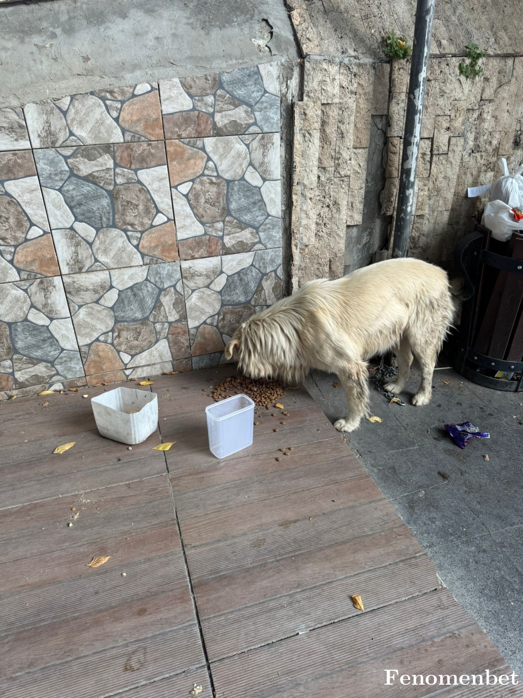 musto20 tarafından paylaşıldı