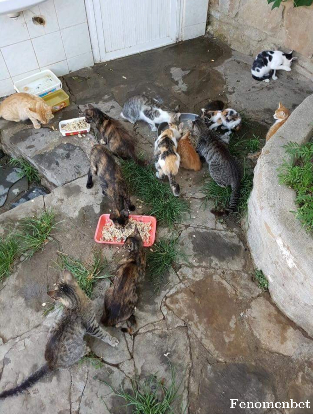 Chefmico tarafından paylaşıldı