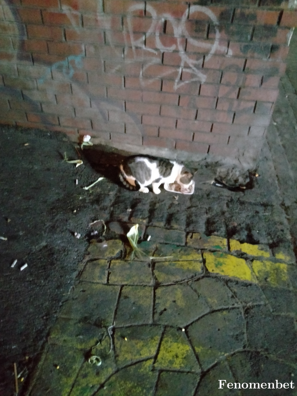 Efray93 tarafından paylaşıldı