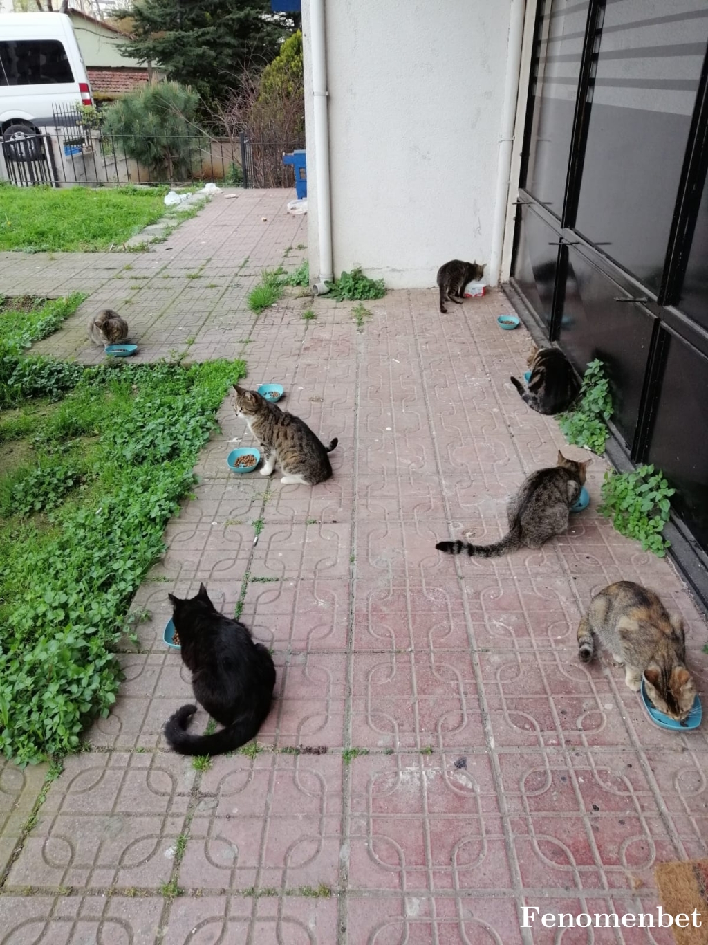 Opia93 tarafından paylaşıldı