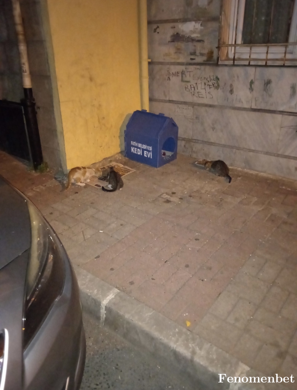 Yebicer02 tarafından paylaşıldı
