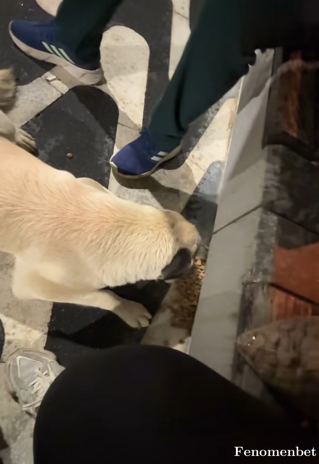 Meli24 tarafından paylaşıldı