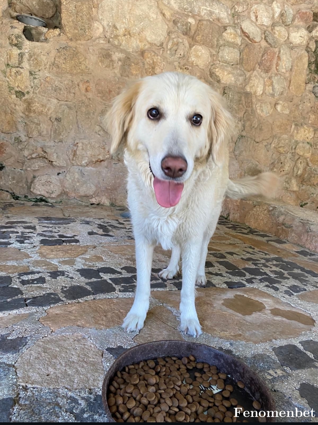 Ertancyr tarafından paylaşıldı