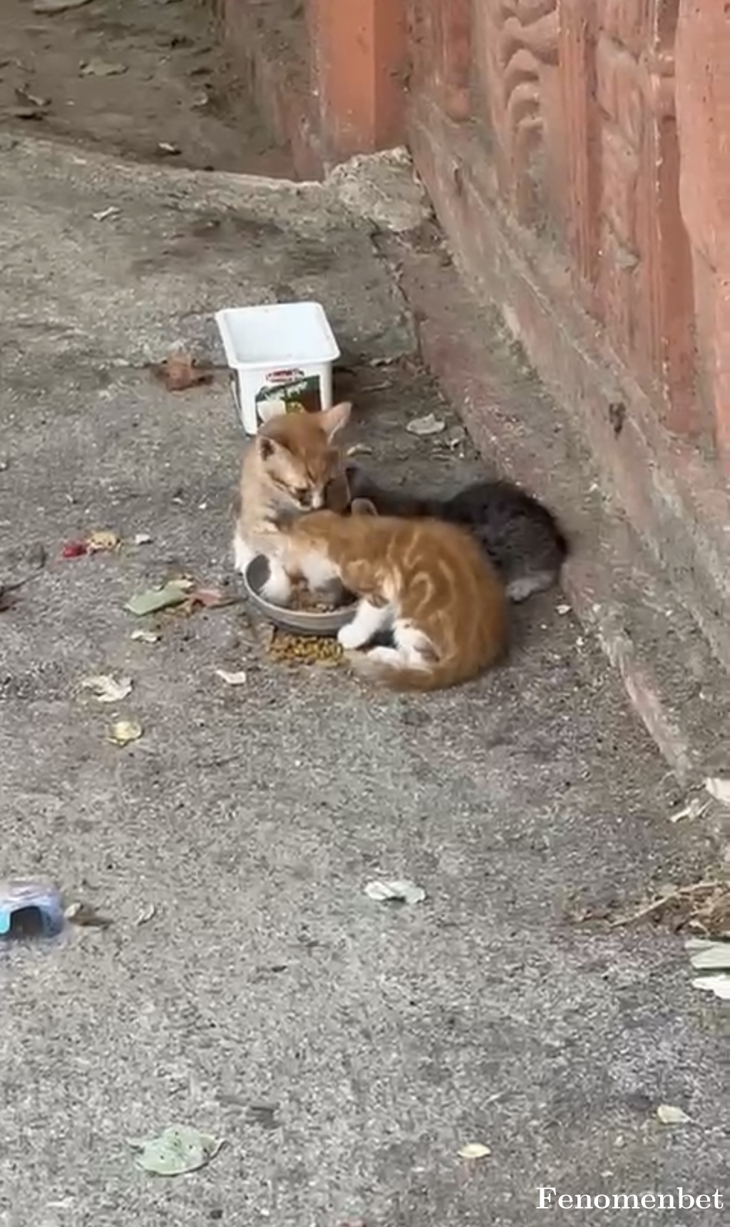 tugba0707 tarafından paylaşıldı