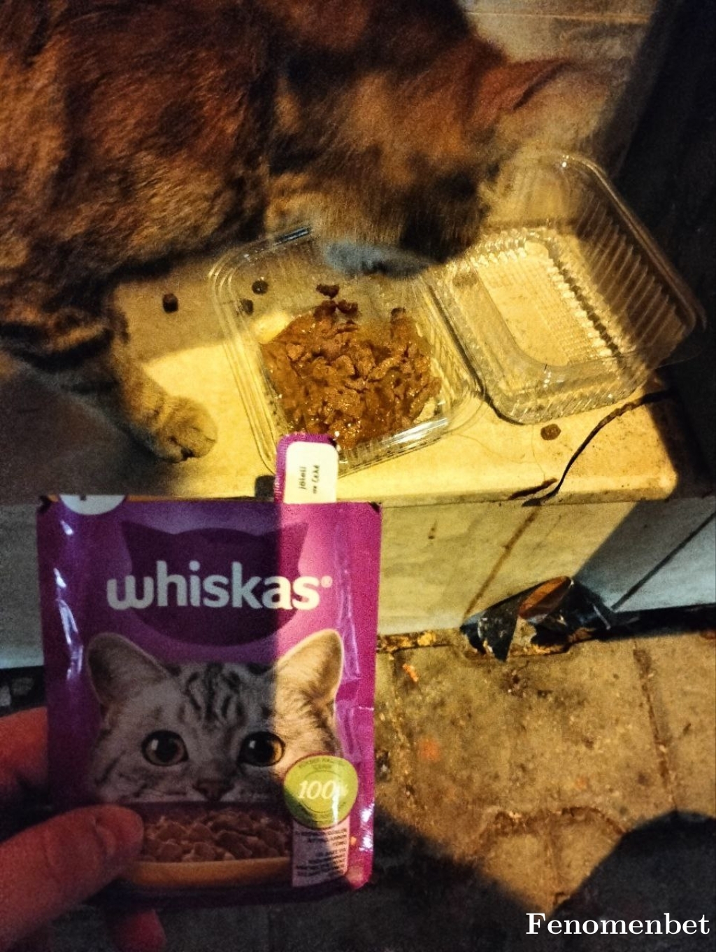 lenovo2 tarafından paylaşıldı