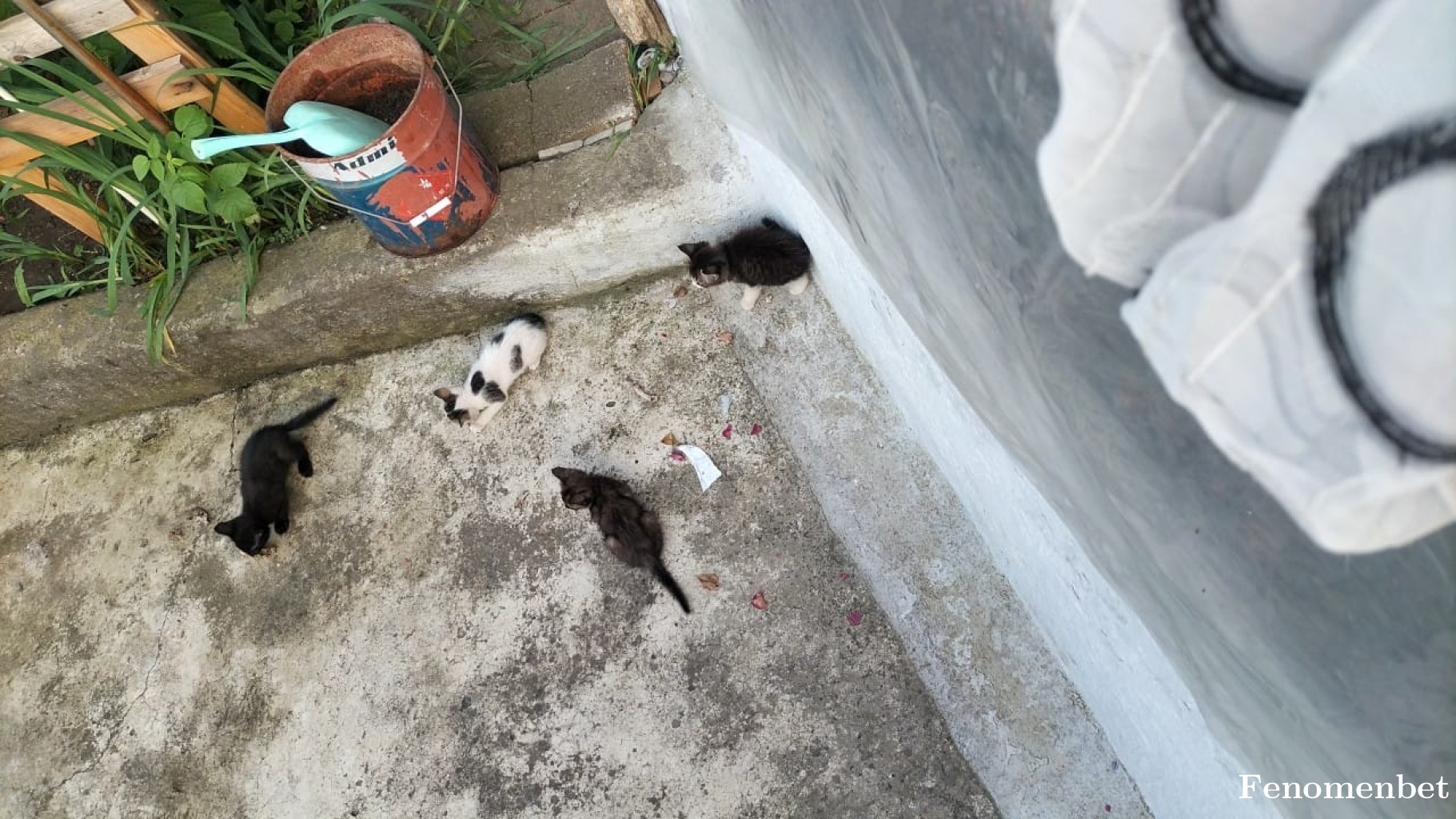 Sekocin  tarafından paylaşıldı