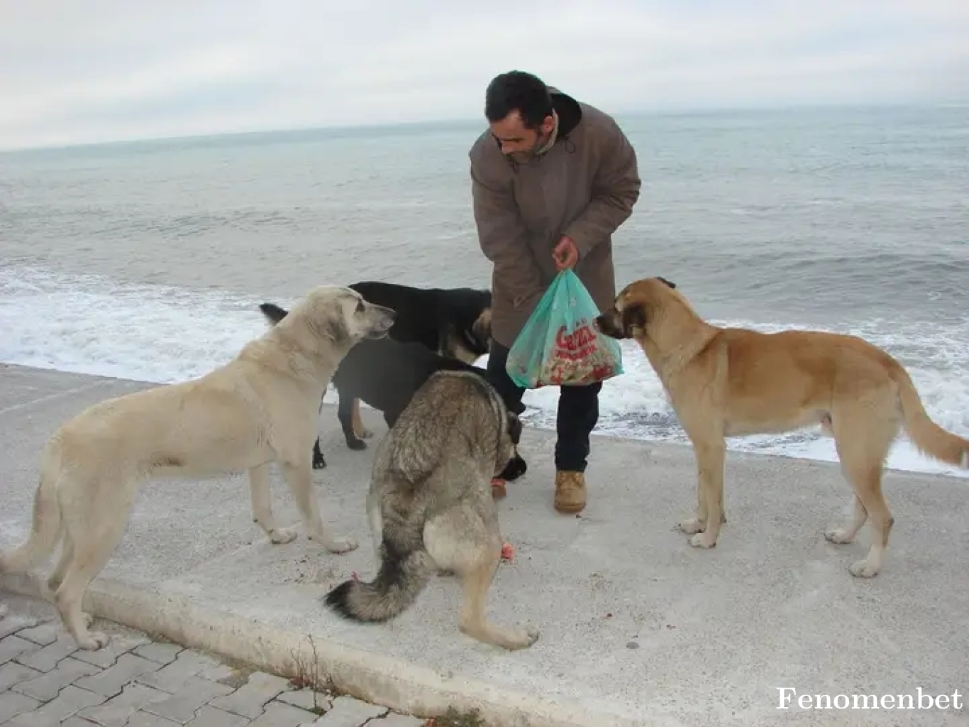 hsynsylmz tarafından paylaşıldı