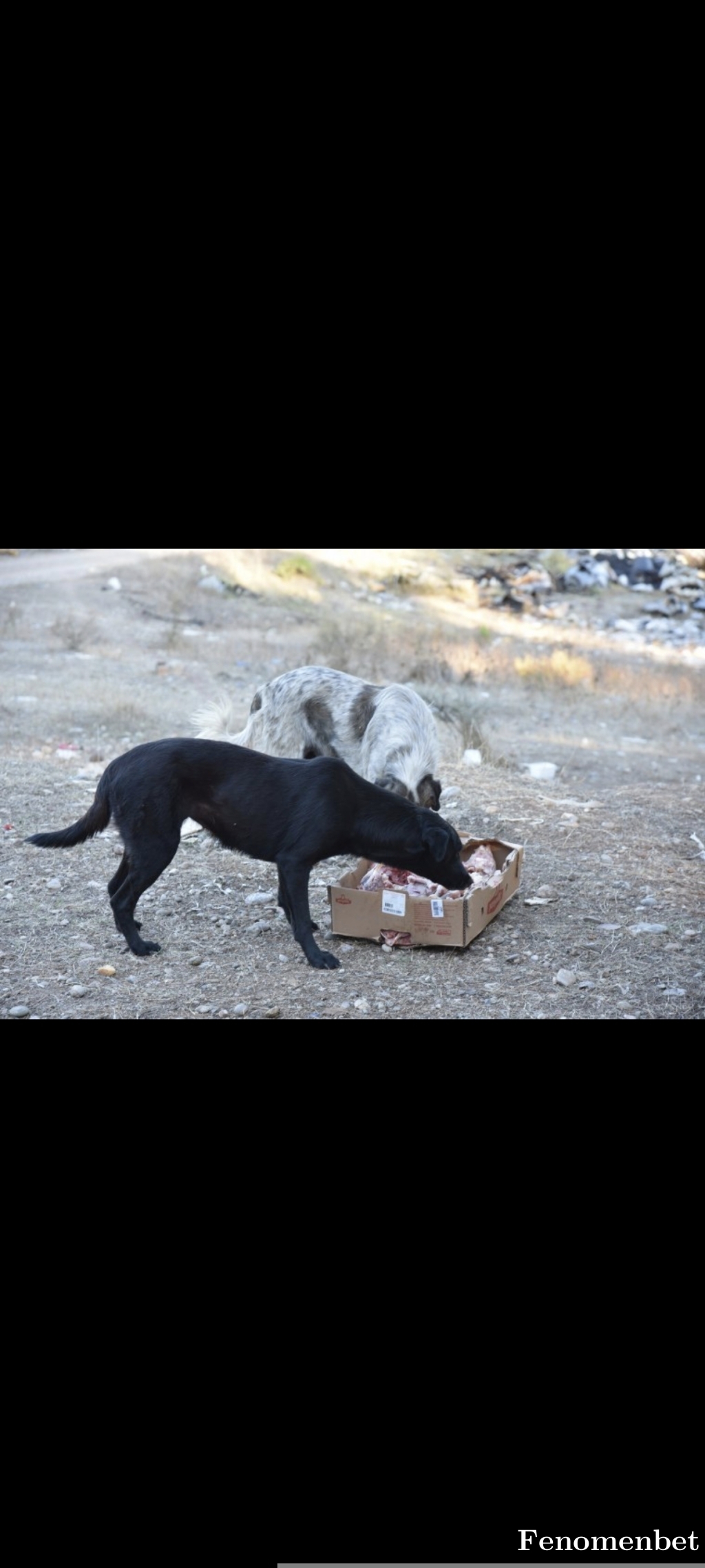 Ahmet723 tarafından paylaşıldı