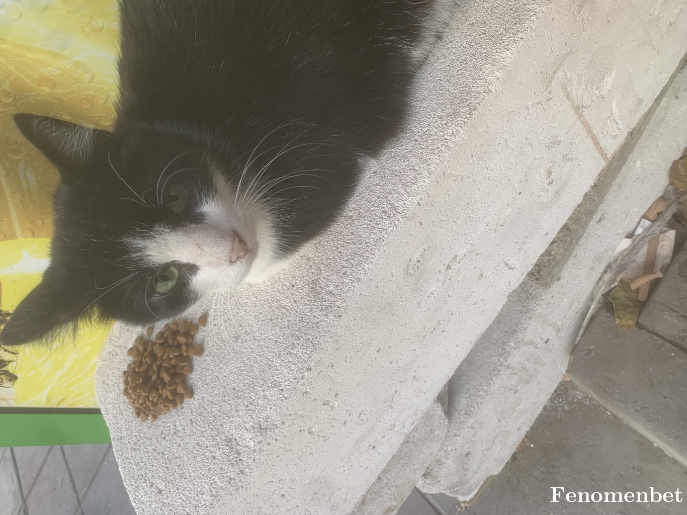 Ozanbb tarafından paylaşıldı