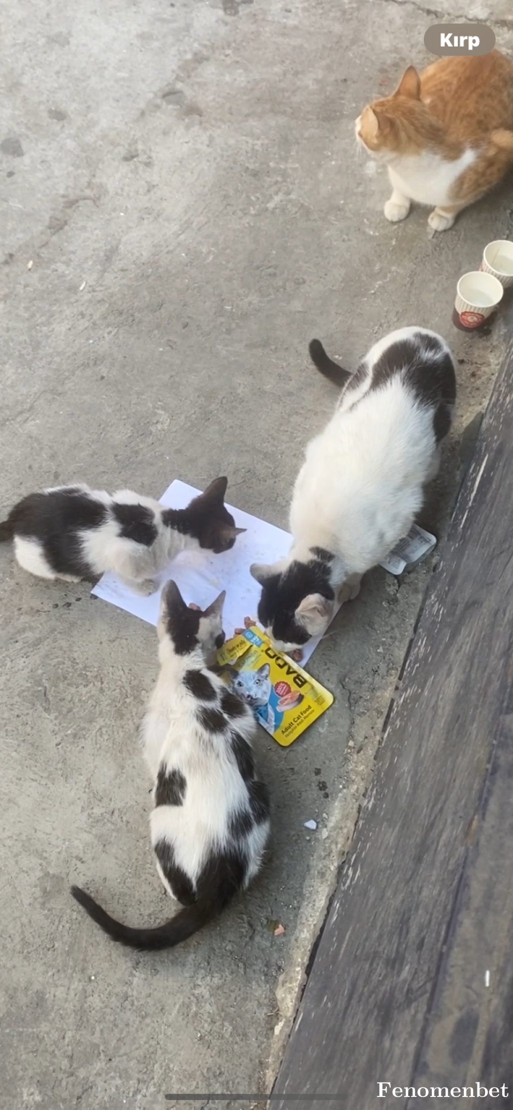 ozay59 tarafından paylaşıldı