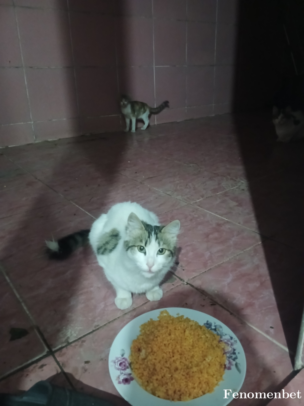 Kral1621 tarafından paylaşıldı