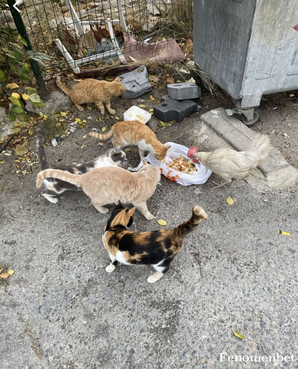 Ozlemonur tarafından paylaşıldı