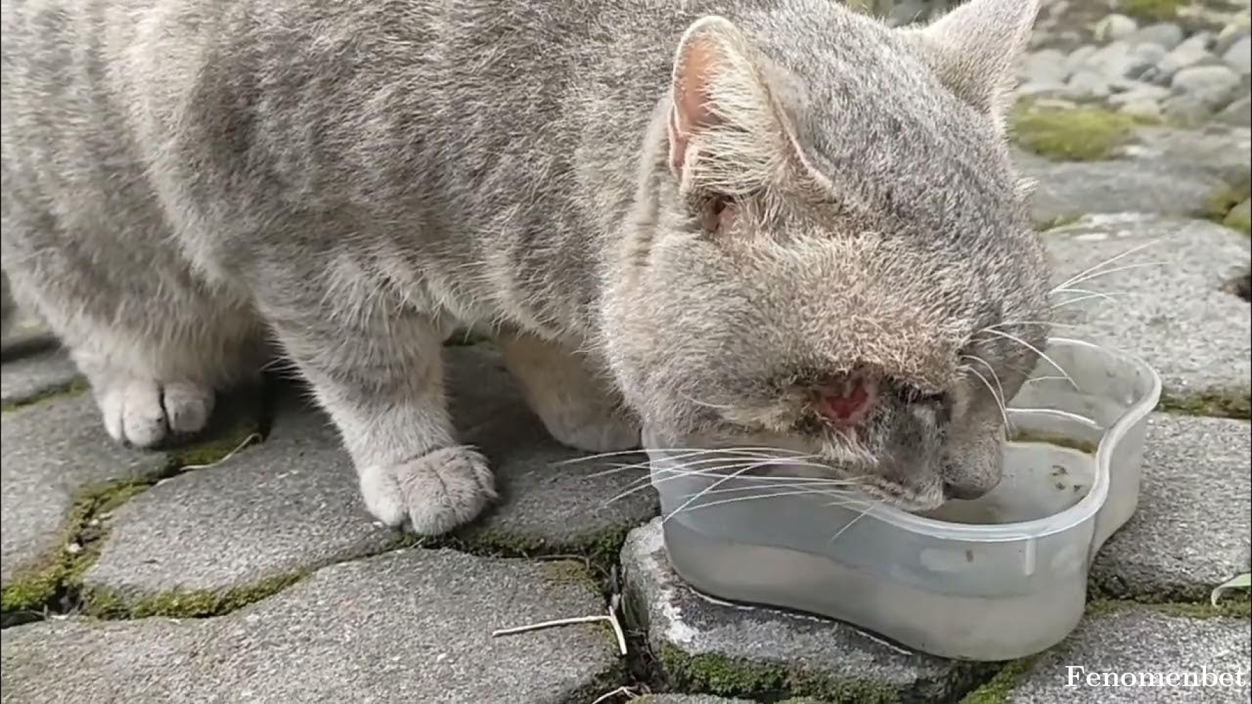 Alone35 tarafından paylaşıldı