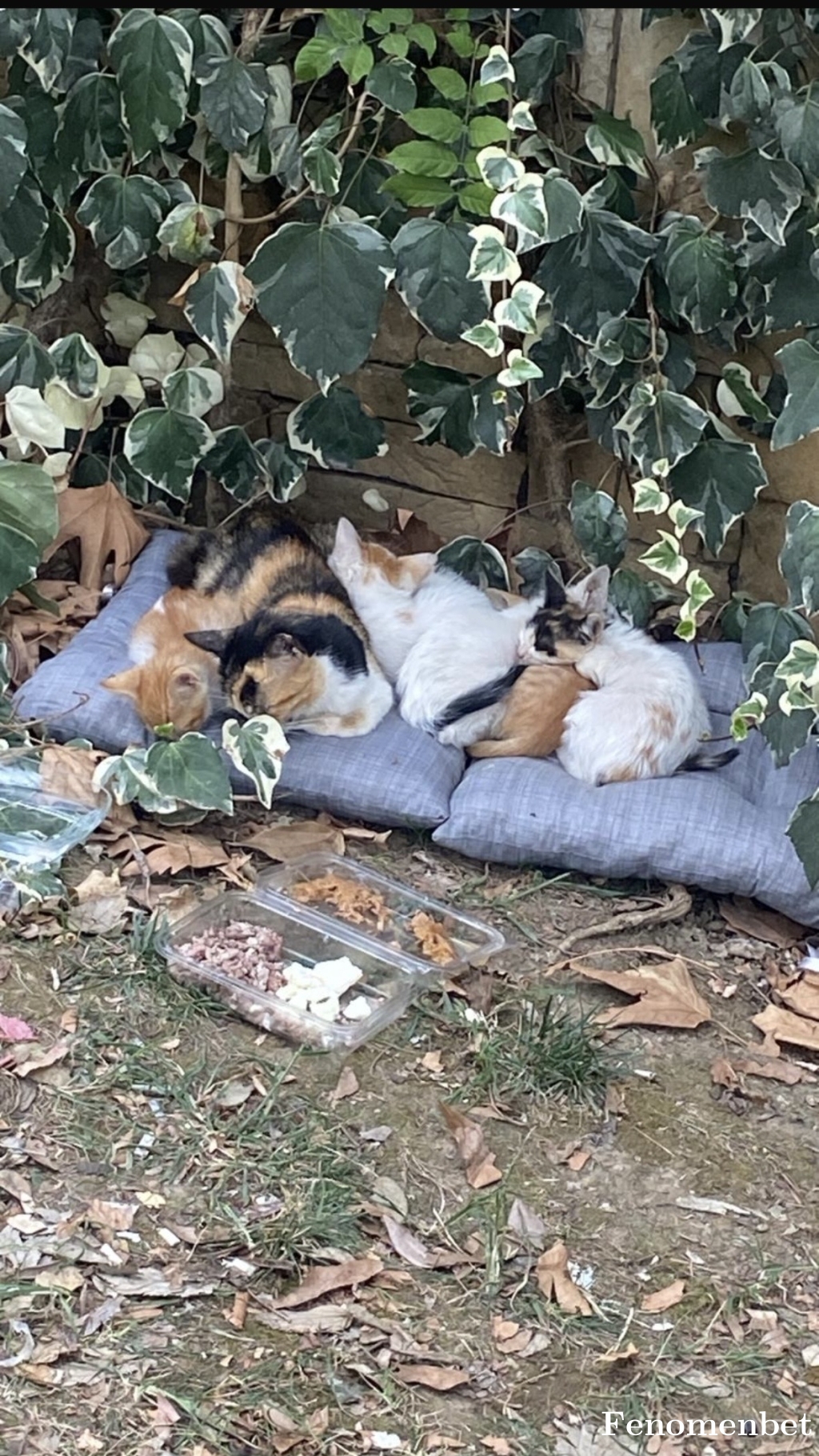 Sesha12 tarafından paylaşıldı