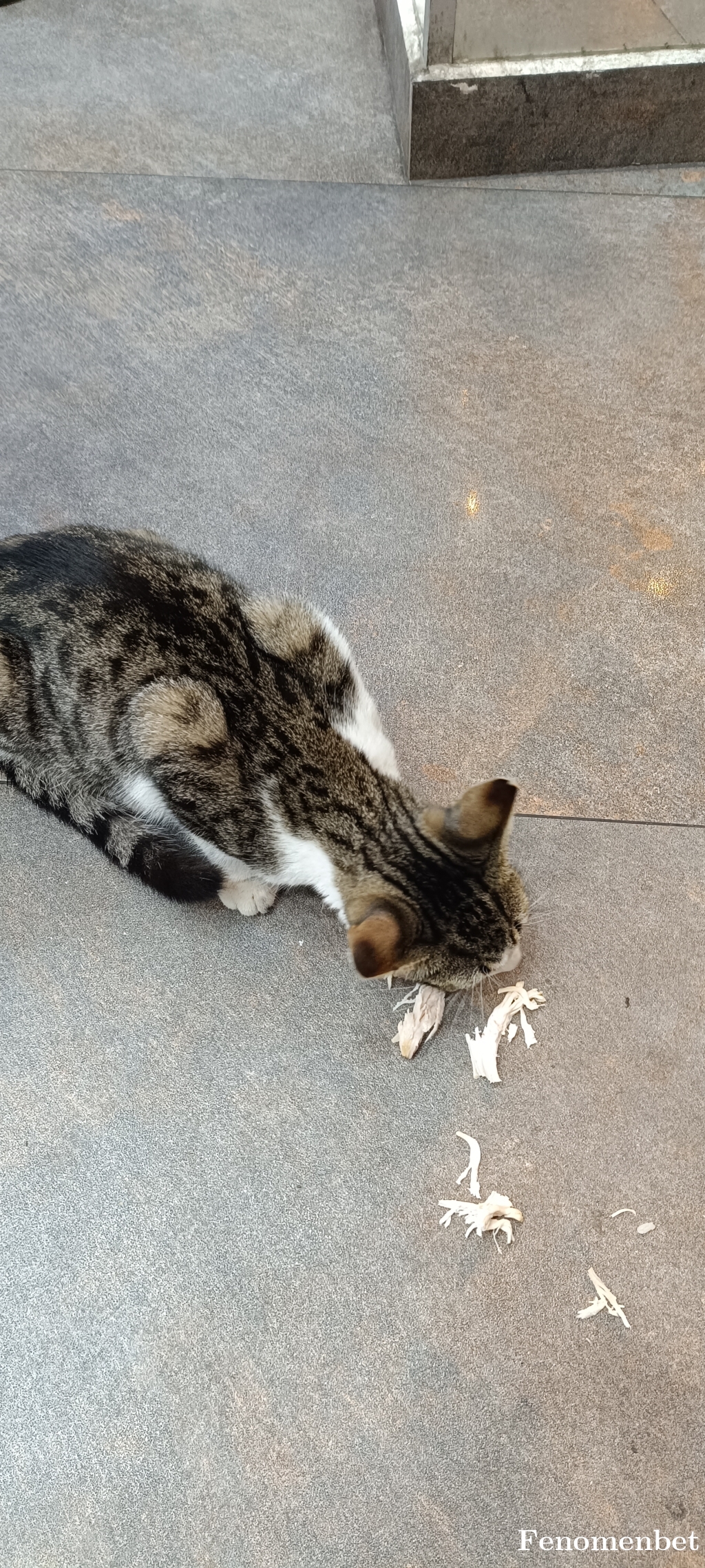 Ersin723 tarafından paylaşıldı