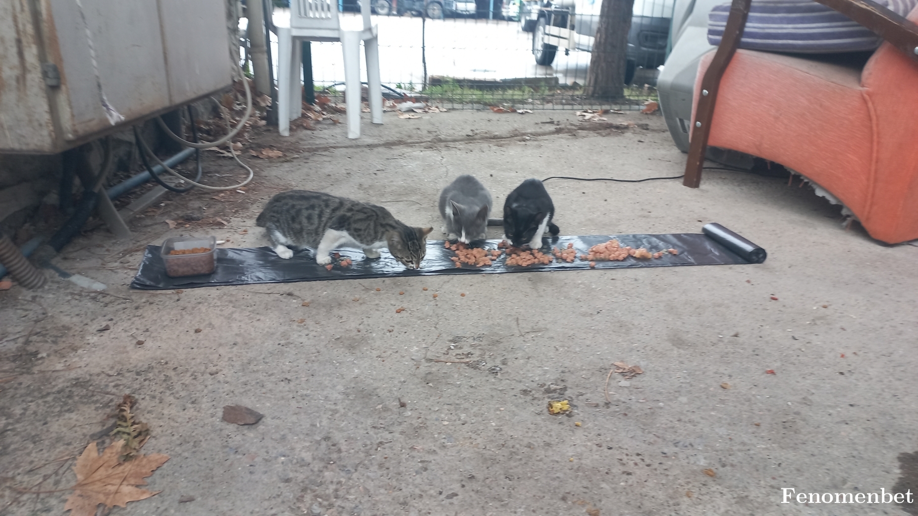 Harunxbaydar tarafından paylaşıldı