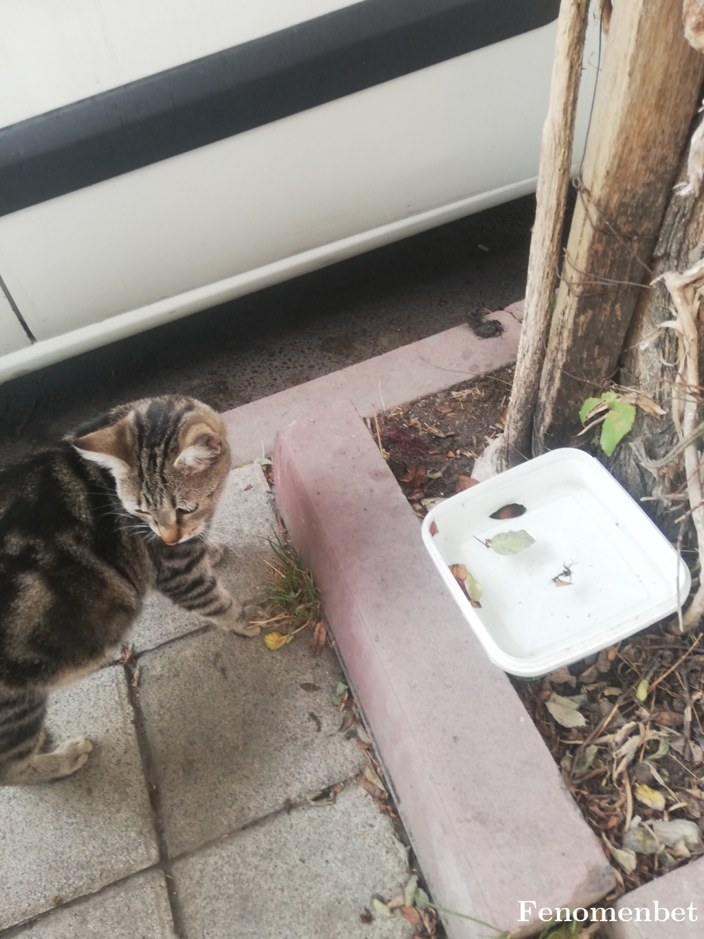 cnrtmrkk tarafından paylaşıldı