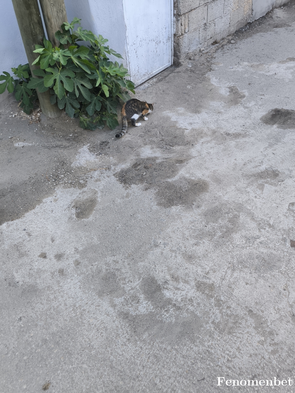 Svdbyrm1 tarafından paylaşıldı
