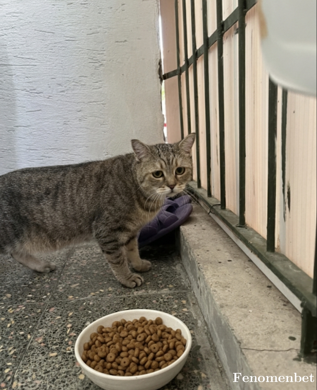 DarkMan2121 tarafından paylaşıldı