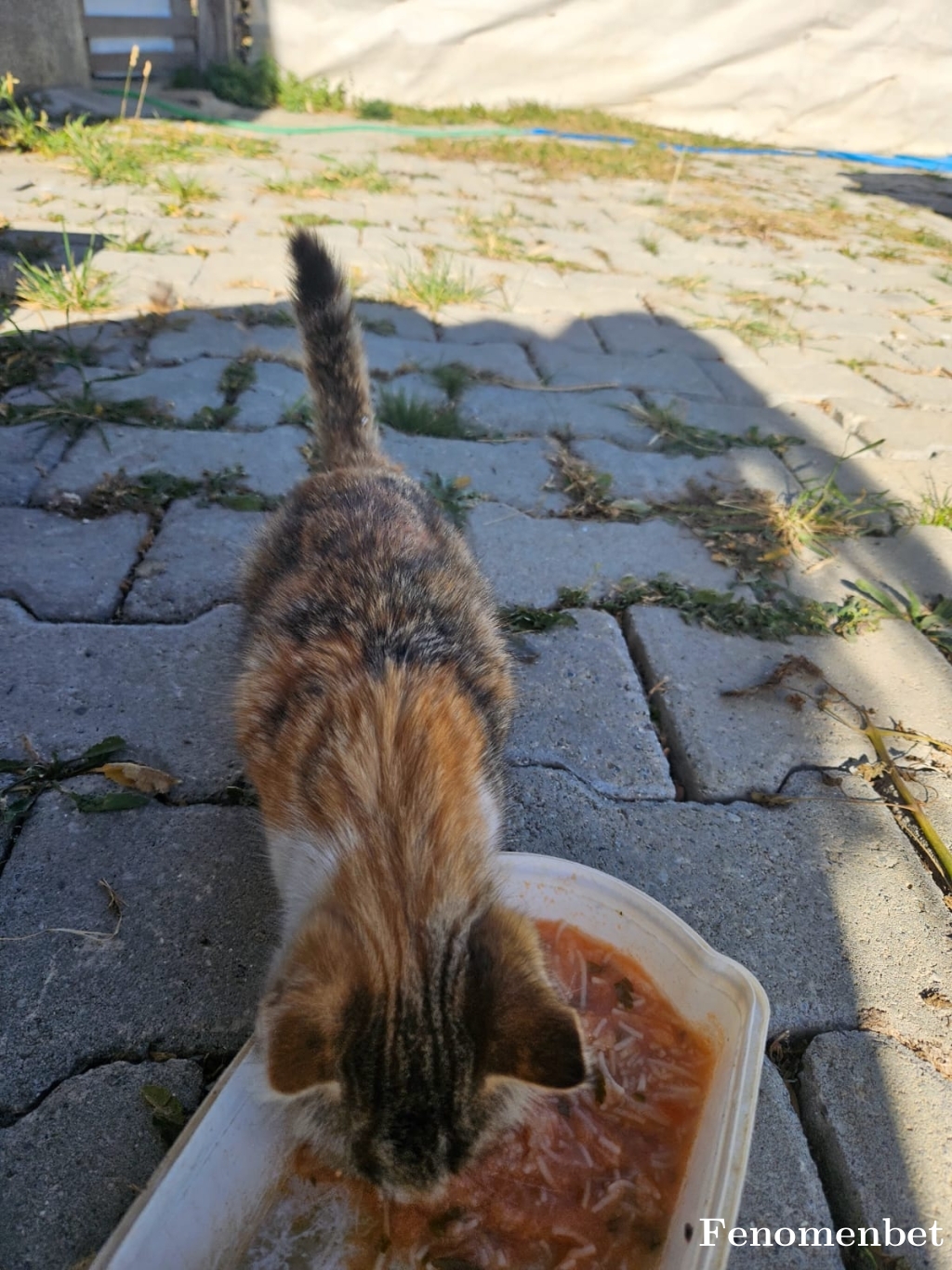 14673470 tarafından paylaşıldı