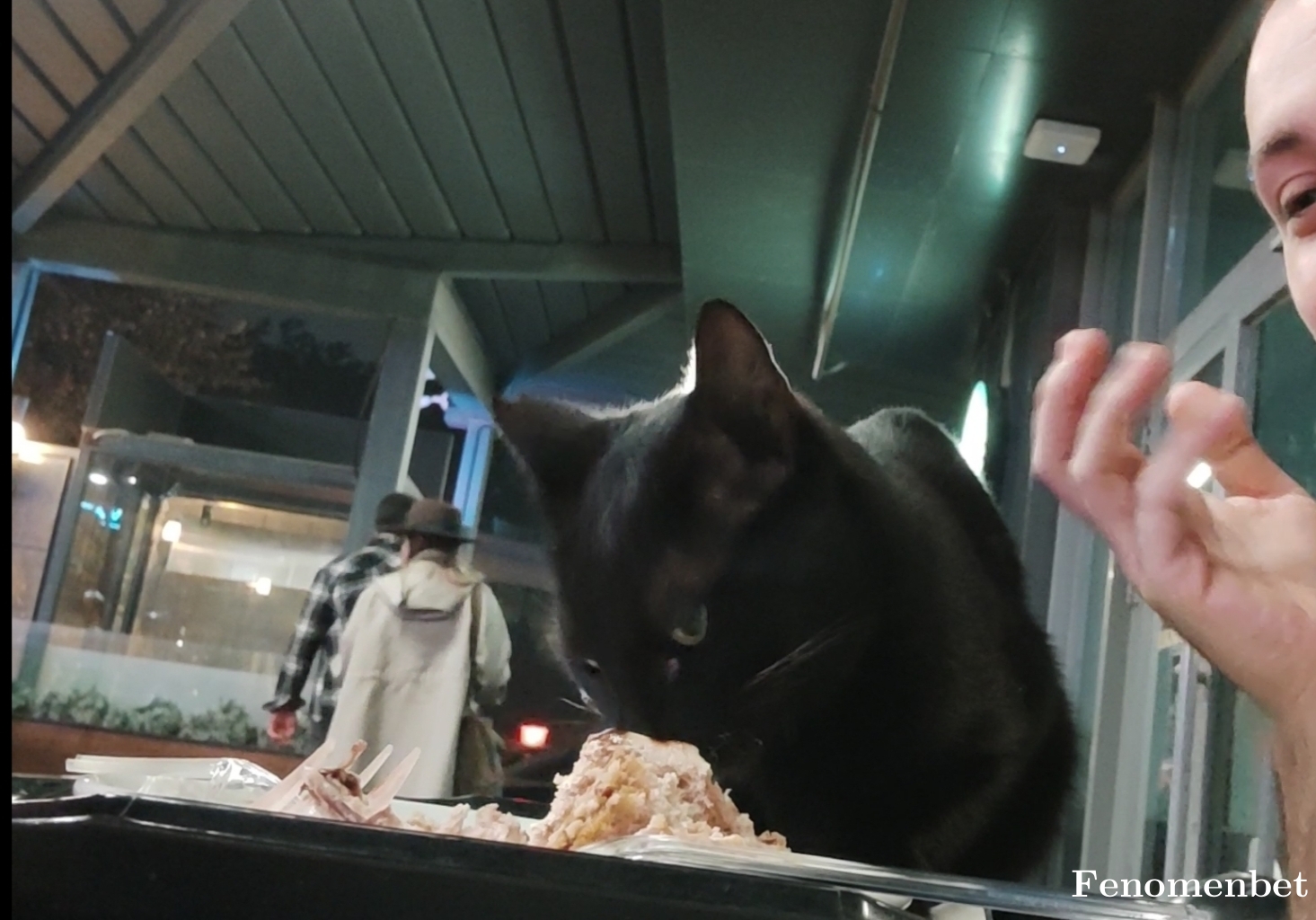 voisinsgelir tarafından paylaşıldı