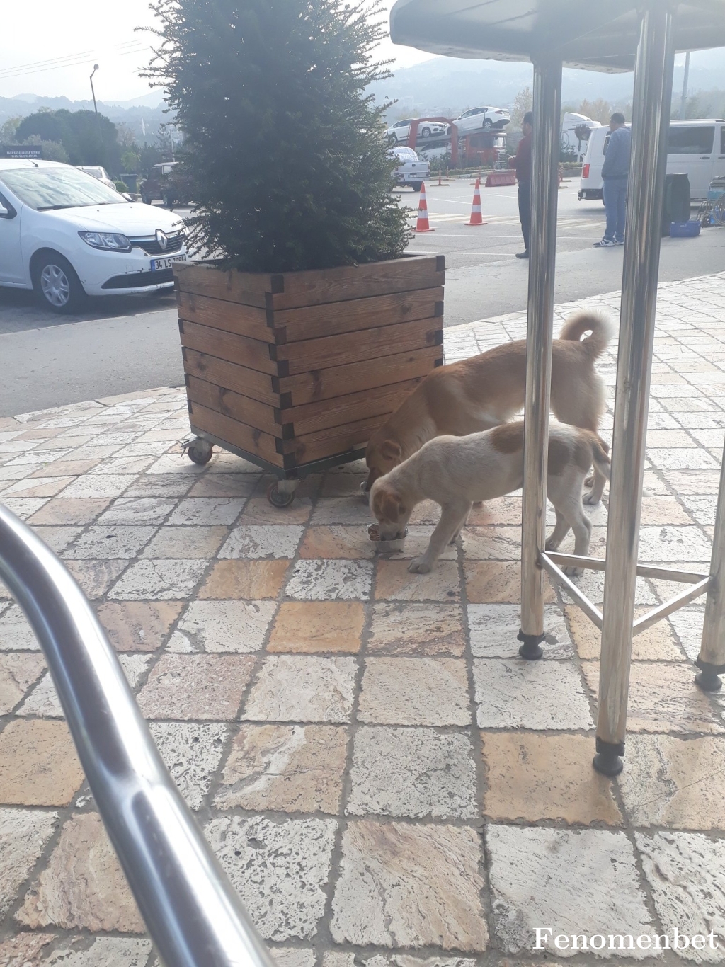 vanpersie10 tarafından paylaşıldı