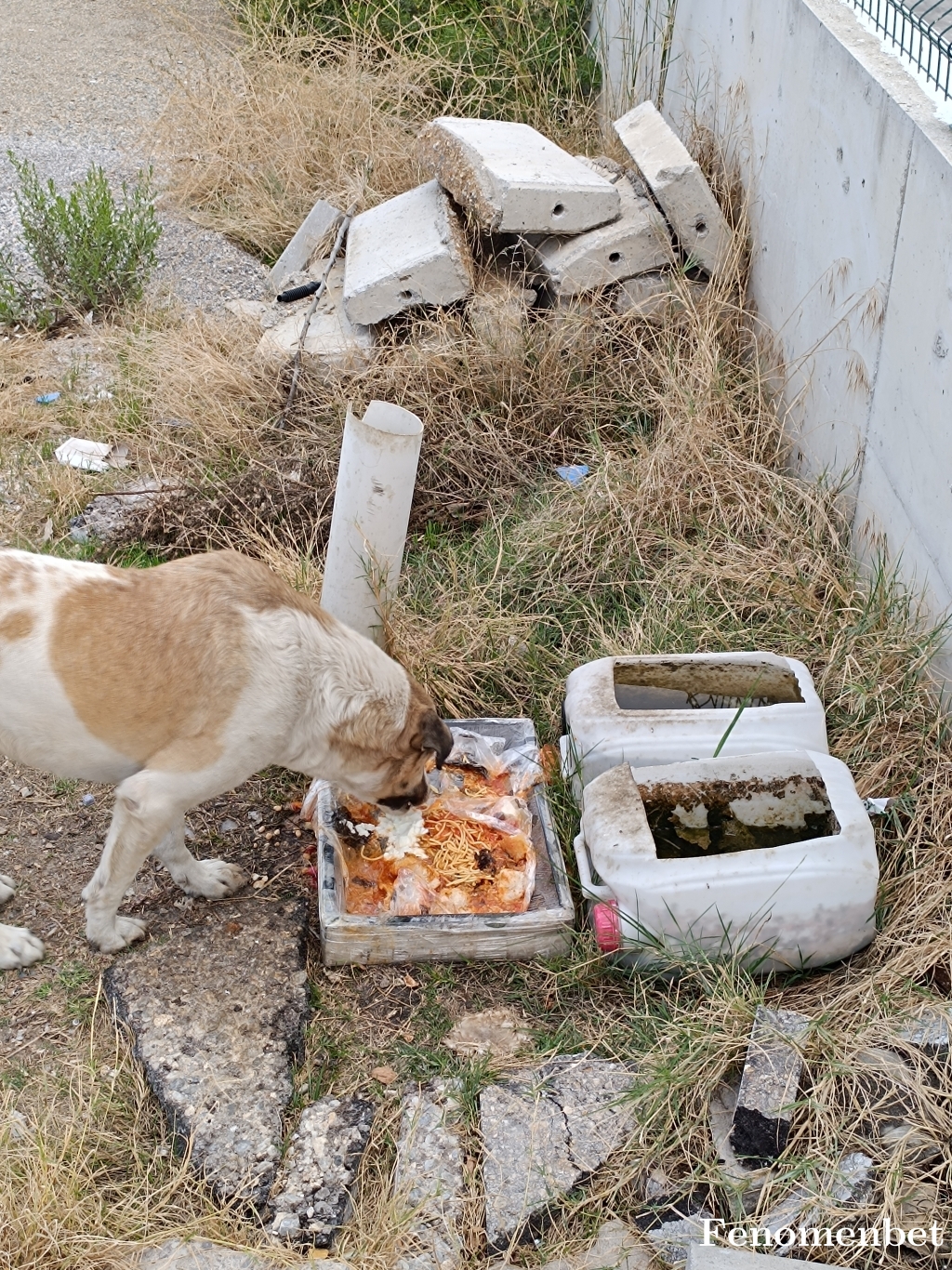 arif33 tarafından paylaşıldı