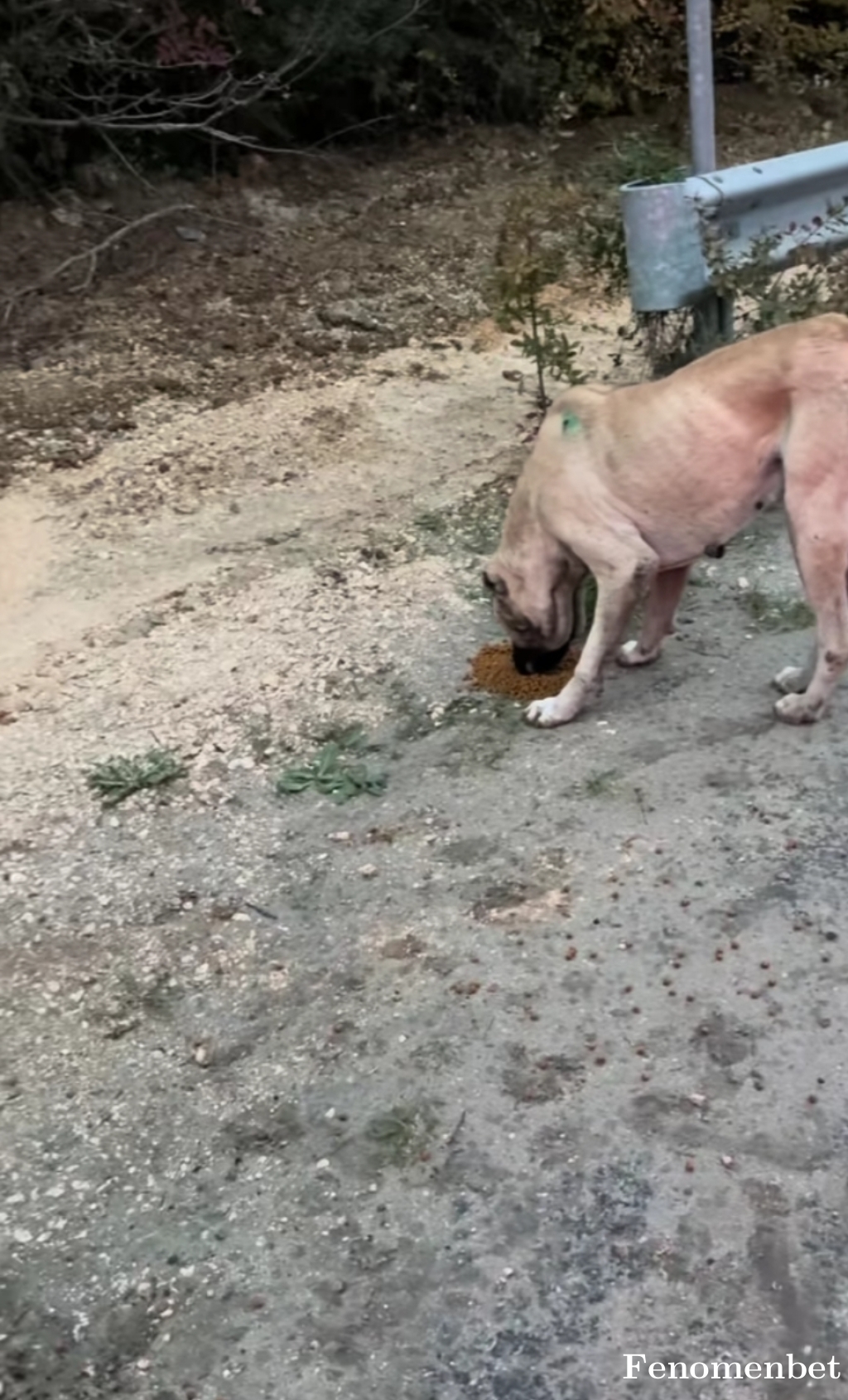 Elifblt72 tarafından paylaşıldı